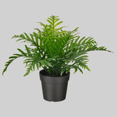 FEJKA Artificial Potted Plant 9 In/Outdoor Whitley Giant